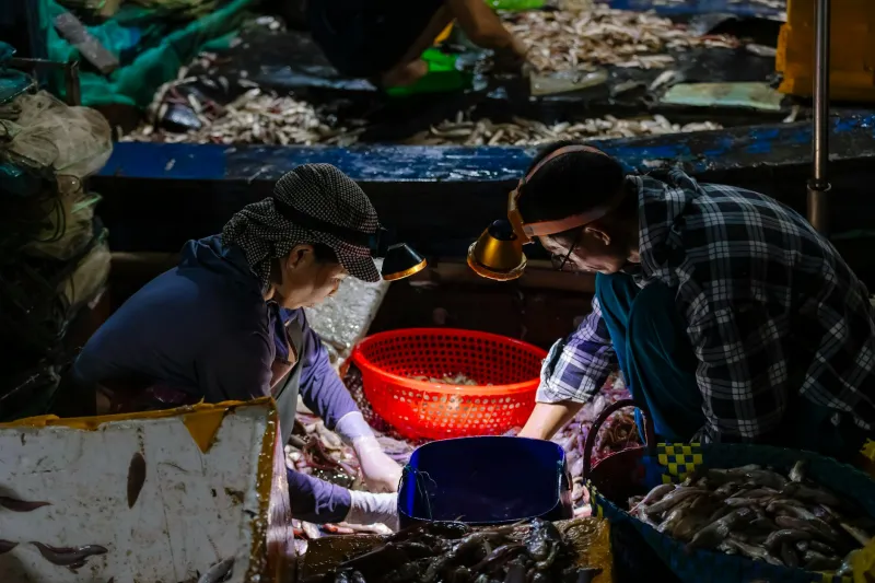 The Outsider's Recipe: How a Fisherman's Son Fed America Without Anyone Knowing His Name