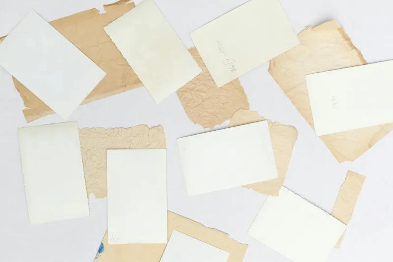 The Printer Who Saved Lives and Paid the Price: How One Man's Illegal Documents Became Thousands of People's Legal Right to Live